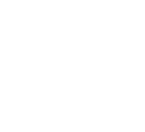 Skills Employment white logo with a semi circle on the top and bottom in the center